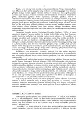Intelekto samprata 3 puslapis