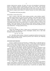 Intelekto samprata 4 puslapis