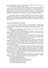 Intelekto samprata 5 puslapis