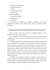Intelektas bei sugebėjimai 5 puslapis