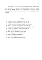 Intelektas. Intelektą aiškinančios teorijos 12 puslapis