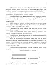 Intelektas. Intelektą aiškinančios teorijos 4 puslapis