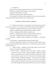 Intelektas. Intelektą aiškinančios teorijos 6 puslapis