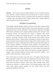 Internetas, jo kultūra, prieinamumas, cenzūra 3 puslapis