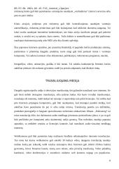 Internetas, jo kultūra, prieinamumas, cenzūra 8 puslapis