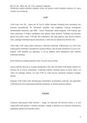 Internetas, jo kultūra, prieinamumas, cenzūra 9 puslapis