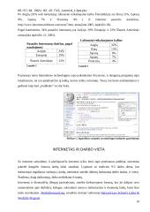 Internetas, jo kultūra, prieinamumas, cenzūra 10 puslapis