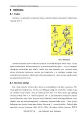 Internetas. Populiarios Interneto paslaugos 3 puslapis