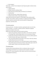 Interneto protokolai 4 puslapis