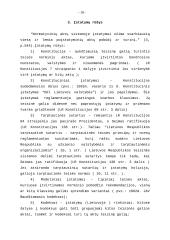 Įstatymo formos samprata 18 puslapis