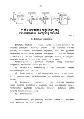 Įstatymo formos samprata 20 puslapis