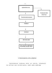 Įstatymo formos samprata 4 puslapis