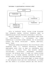 Įstatymo formos samprata 7 puslapis