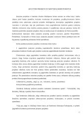 Įstatymų leidyba 11 puslapis