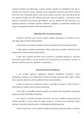 Įstatymų leidyba 17 puslapis