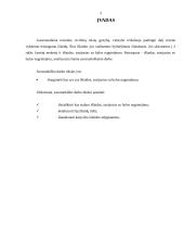 Išlaidos, susijusios su bylos nagrinėjimu 3 puslapis