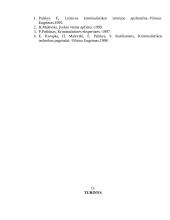 Įvykio vietos apžiūra 11 puslapis