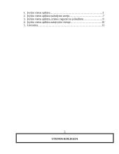 Įvykio vietos apžiūra 12 puslapis