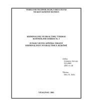 Įvykio vietos apžiūra 13 puslapis