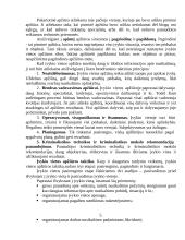 Įvykio vietos apžiūra 3 puslapis