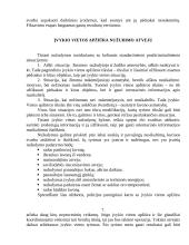 Įvykio vietos apžiūra 5 puslapis