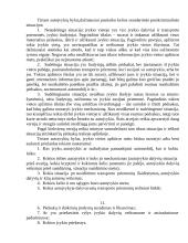 Įvykio vietos apžiūra 9 puslapis