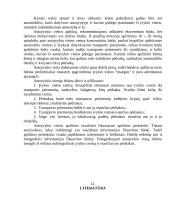 Įvykio vietos apžiūra 10 puslapis