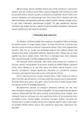 Jobo drama: žmogiškosios būties apmąstymas 5 puslapis