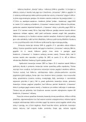 Jungtinės veiklos sutarties šalių pareigų vykdymo ypatumai 12 puslapis