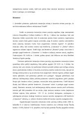 Jungtinės veiklos sutarties šalių pareigų vykdymo ypatumai 13 puslapis