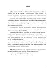 Juridinė atsakomybė 2 puslapis