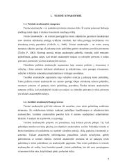 Juridinė atsakomybė 3 puslapis