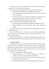 Juridinė atsakomybė 4 puslapis