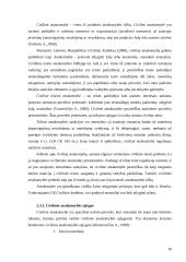 Juridinė atsakomybė 9 puslapis