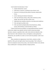 Komercinės paslapties teisinė apsauga 6 puslapis