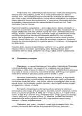 Komunikacijos ir informacija 13 puslapis