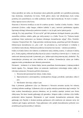 Komunikacijos studijų mokyklos 5 puslapis