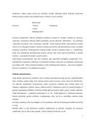 Komunikacijos studijų mokyklos 7 puslapis