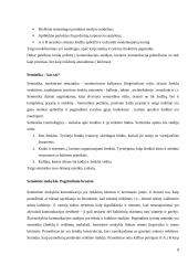 Komunikacijos studijų mokyklos 8 puslapis