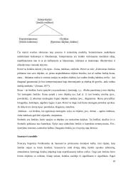 Komunikacijos studijų mokyklos 10 puslapis