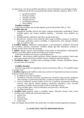 Konflikto teoriniai aspektai bei situacijos analizė 3 puslapis