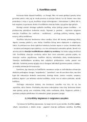 Konflikto esmė ir konflikto organizacijoje identifikavimas 3 puslapis