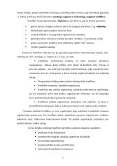 Konflikto esmė ir konflikto organizacijoje identifikavimas 4 puslapis