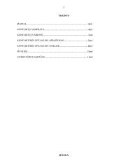 Konfliktinės situacijos aprašymas 2 puslapis