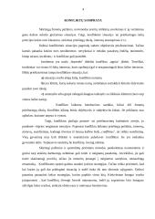 Konfliktinės situacijos aprašymas 4 puslapis