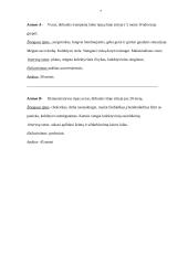 Konfliktinės situacijos aprašymas 7 puslapis