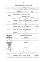 Konfliktinės situacijos aprašymas 8 puslapis