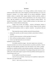 Konfliktinės situacijos aprašymas 10 puslapis