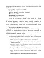 Konfliktų esmė. Konfliktas ir bendradarbiavimas organizacijoje 4 puslapis