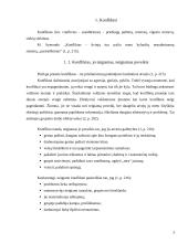 Konfliktų ir permainų įgyvendinimo valdymas. Stresai 5 puslapis